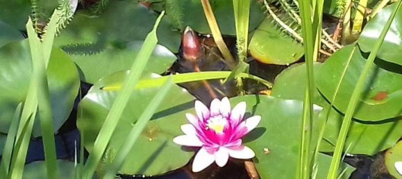 6 bedrooms House in Seeboden am Millstatter See, Austria No. 179737 2