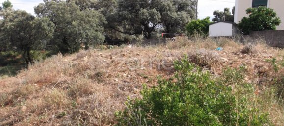 قطعة أرض في Tomar, Portugal 516متر مربع رقم 68833 3