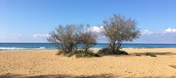 11-Zimmer Villa in Galatone, Italy, Nr. 140352 17