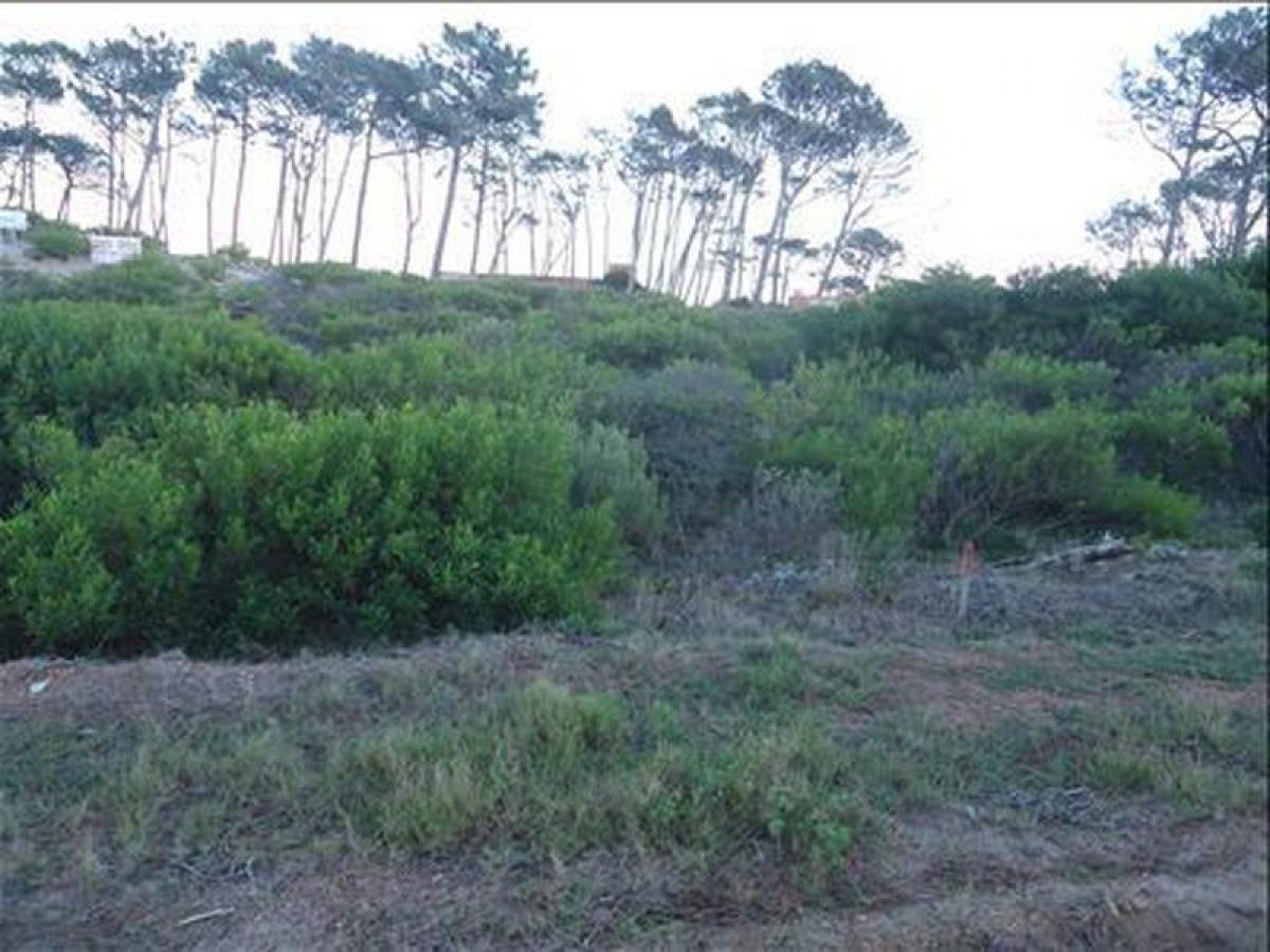  Land in Maldonado, Uruguay No. 13952