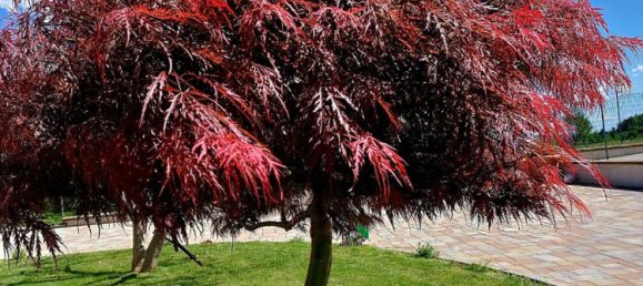 3 Schlafzimmer Villa in Barbania, Italy, Nr. 329475 47