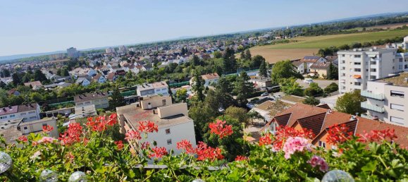 3-Zimmer Wohnung in Bergstraße, Germany, Nr. 219238 9