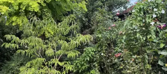 Adosado de 5 habitaciónes en Hoxter, Germany No. 365699 4