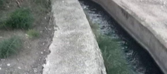 Дом с 4 спальнями в Ксатива, Испания № 130588 23