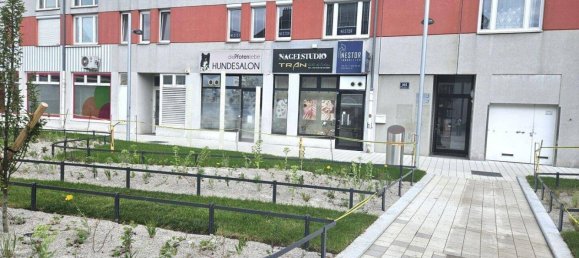 55m² Office in Vienna, Austria No. 243912 2