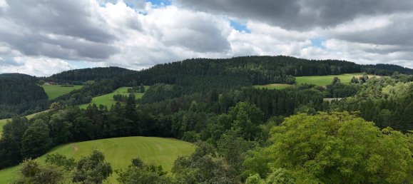 Gewerbliche Immobilie in Gutau, Austria 256m², Nr. 218400 16