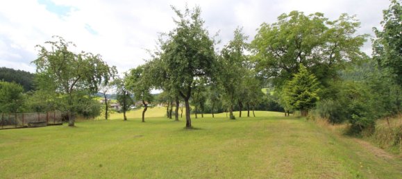 Gewerbliche Immobilie in Gutau, Austria 256m², Nr. 218400 36