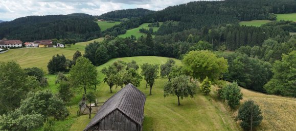 Gewerbliche Immobilie in Gutau, Austria 256m², Nr. 218400 14