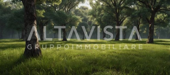 1090m² Land in Lonato del Garda, Italy No. 267292 10