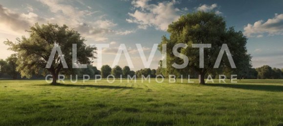 1090m² Land in Lonato del Garda, Italy No. 267292 6