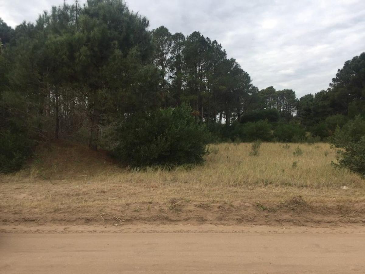 Grundstück in Mar del Plata, Argentina, Nr. 112249