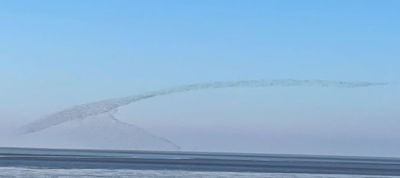 2 bedrooms Apartment in Dithmarschen, Germany No. 328297 17