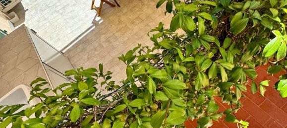 3غرفة شقة في Florence, Italy رقم 49277 21