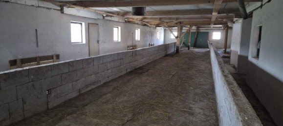 9-Zimmer Haus in Niederösterreich, Austria, Nr. 244331 38