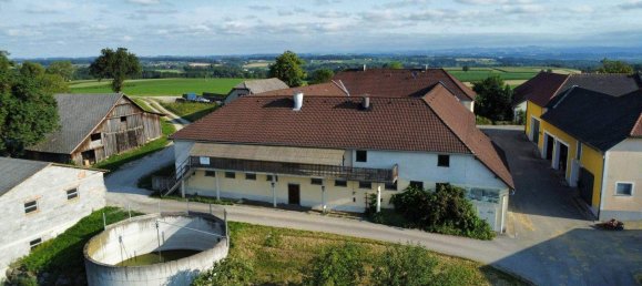 9-Zimmer Haus in Niederösterreich, Austria, Nr. 244331 46