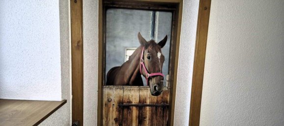 9-Zimmer Haus in Niederösterreich, Austria, Nr. 244331 23