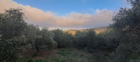 8000m² Land in Misilmeri, Italy No. 102942 3