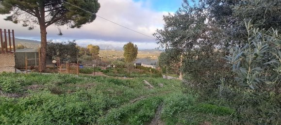 8000m² Land in Misilmeri, Italy No. 102942 6