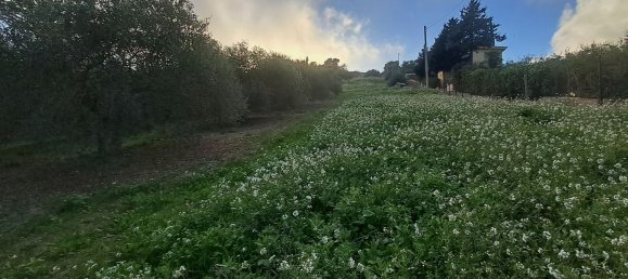 8000m² Land in Misilmeri, Italy No. 102942 5