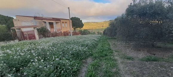 8000m² Land in Misilmeri, Italy No. 102942 10