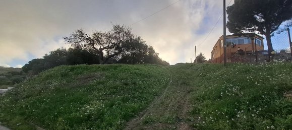 8000m² Land in Misilmeri, Italy No. 102942 2