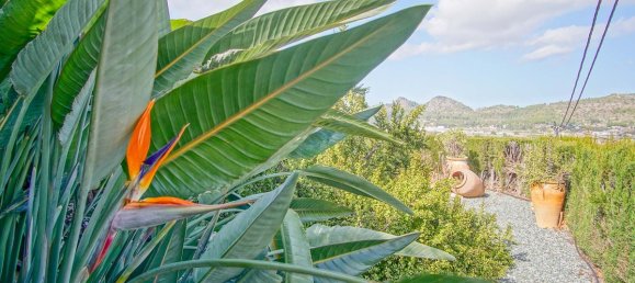 4 غرف نوم فيلا في Pedreguer, Spain رقم 137274 34