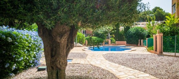 3 bedrooms Villa in Torrevieja, Spain No. 194806 29