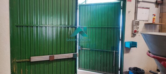 440m² Warehouse in Madrid, Spain No. 175639 19