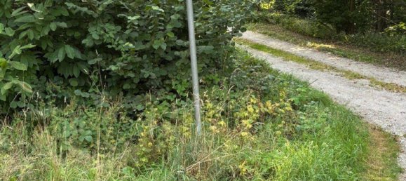 2 chambres Appartement à Baden-Baden, Germany No. 350440 10