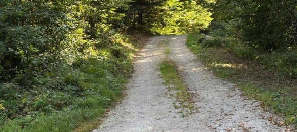 2 chambres Appartement à Baden-Baden, Germany No. 350440 20