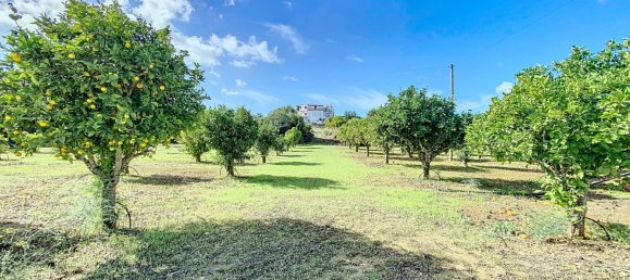 5 غرف نوم فيلا في Pechao, Portugal رقم 128474 50