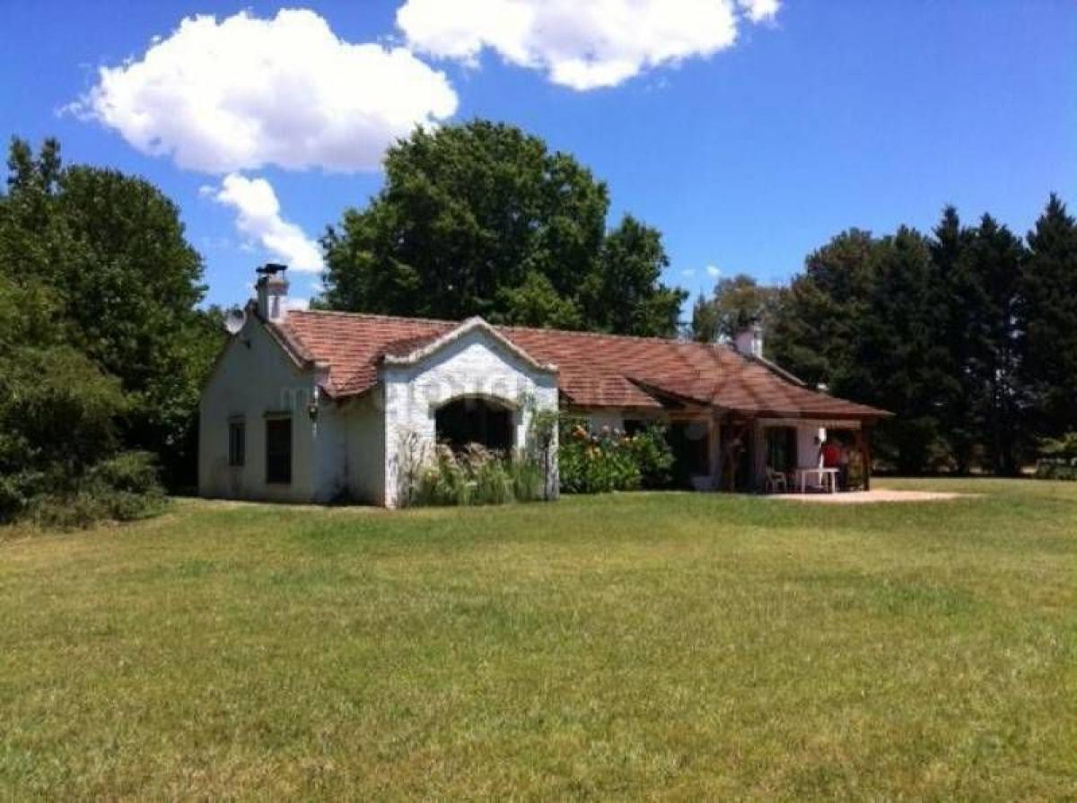 Ферма с 4 спальнями в Пилар, Аргентина № 40024