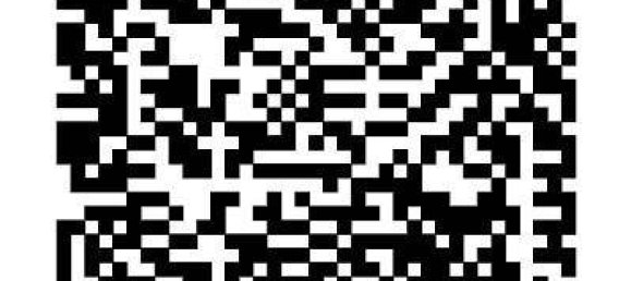 2 Schlafzimmer Wohnung in Wels, Austria, Nr. 221013 14