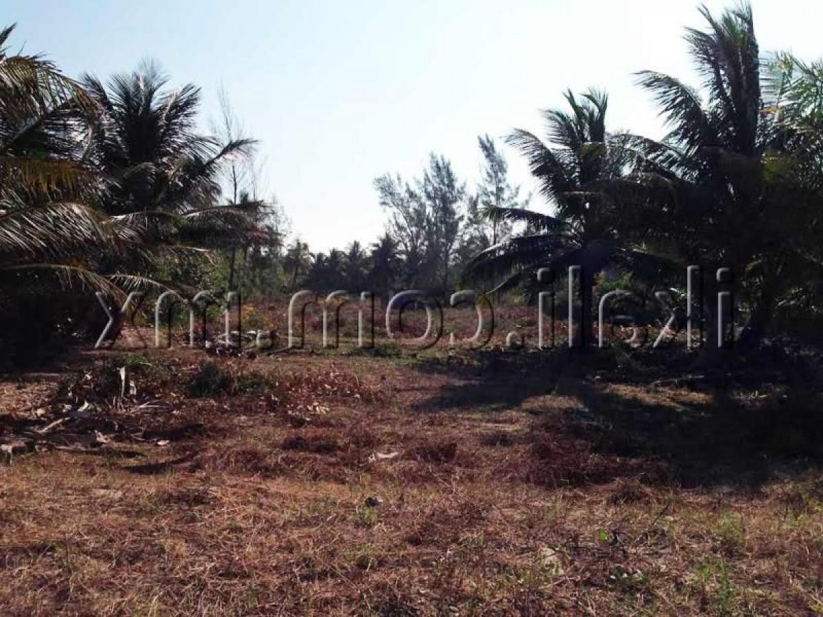  Land in Veracruz, Mexico No. 206760