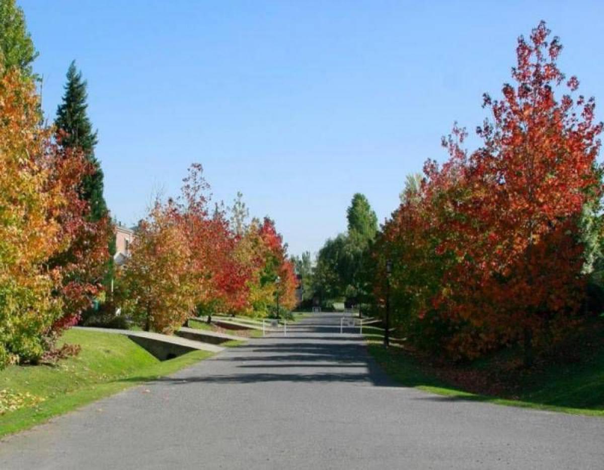 Grundstück in Pilar, Argentina, Nr. 48625