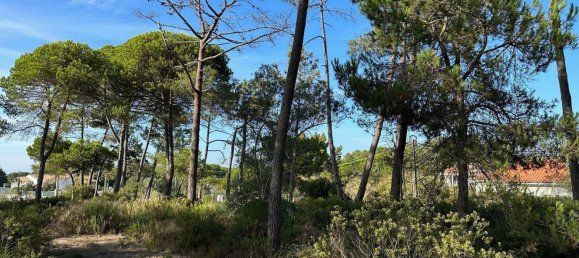  قطعة أرض في Sesimbra, Portugal 6053متر مربع رقم 137908 26