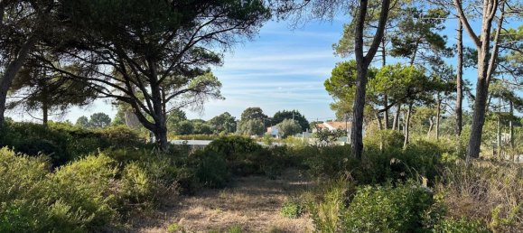  قطعة أرض في Sesimbra, Portugal 6053متر مربع رقم 137908 24