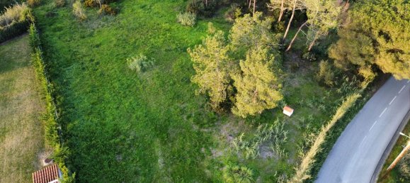  قطعة أرض في Sesimbra, Portugal 6053متر مربع رقم 137908 9