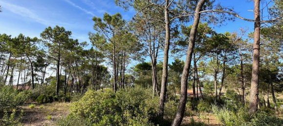  قطعة أرض في Sesimbra, Portugal 6053متر مربع رقم 137908 18