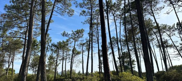  قطعة أرض في Sesimbra, Portugal 6053متر مربع رقم 137908 22