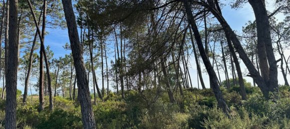  قطعة أرض في Sesimbra, Portugal 6053متر مربع رقم 137908 25