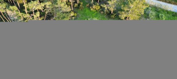  قطعة أرض في Sesimbra, Portugal 6053متر مربع رقم 137908 11