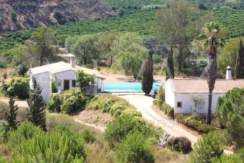18 bedrooms Castles in Silves, Portugal No. 270521