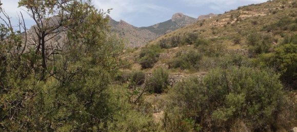  House in Busot, Spain No. 283594 4