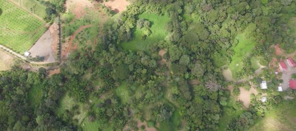 Land for sale in Puntarenas, Costa Rica № 1449 5