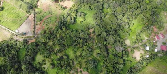 Land for sale in Puntarenas, Costa Rica № 1449 6