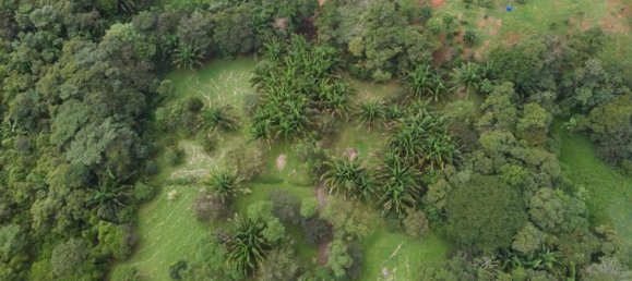 Land for sale in Puntarenas, Costa Rica № 1449 2