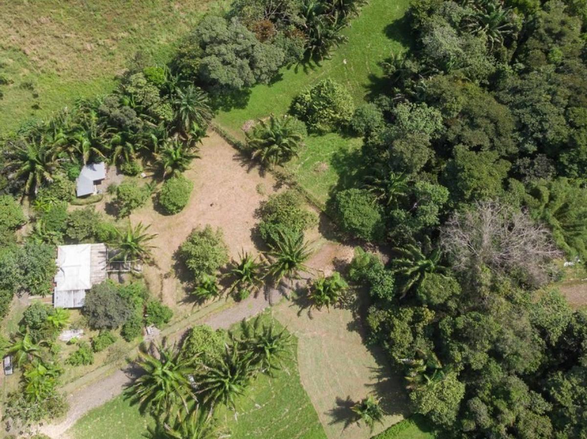 Land for sale in Puntarenas, Costa Rica № 1449