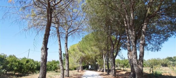 4 bedrooms House in Coin, Spain No. 80028 19