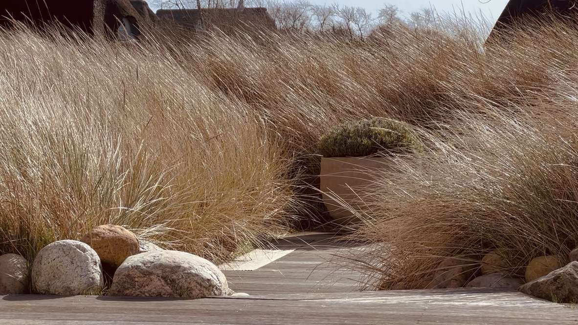 5 rooms Townhouse in Schleswig-Holstein, Germany No. 56708